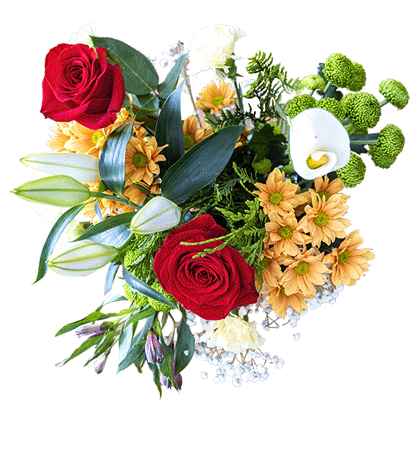 + Arranjos de Flores